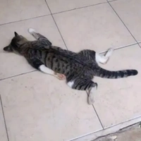 tg