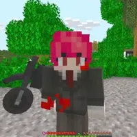 h1h4
