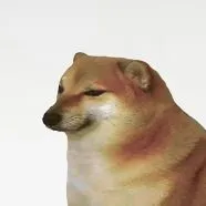 Aki