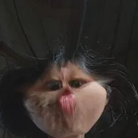 tác giả cute