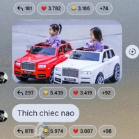 All bot