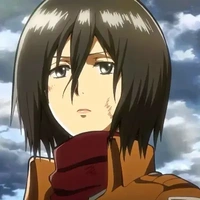 Mikasa ackerman