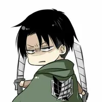 levi