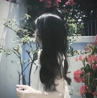 HỒ ĐÀO ANH-AMI
