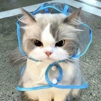 HỆ THỐNG 15512-suri