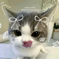 t/g
