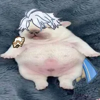 Mít non dog