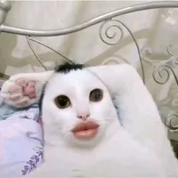 Bảo vệ 