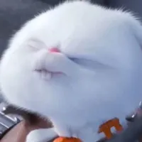 tác giả bắt muốn bắt cóc Karma