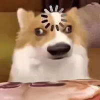 tác giả
