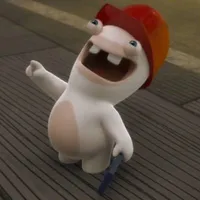 Y/n