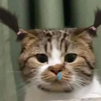 t/g mê AIIHeng