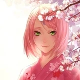 sakura /con Đào