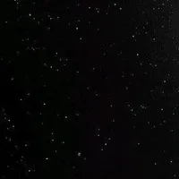 t/g