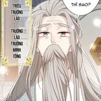 Triệu trưởng lão