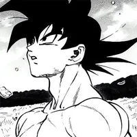 Son Goku/Kakarot