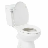 bồn cầu