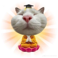 Hệ Thống mèo