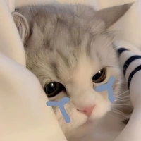 nho_sua_5