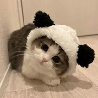 Mochii