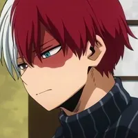 Shoto Todoroki