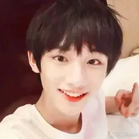 Đinh Trình Hâm (mini)