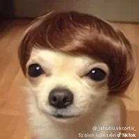 All
