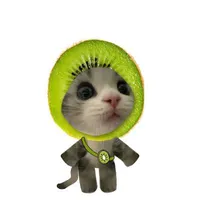 Bá Chủ KiWi