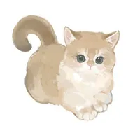 Hệ thống 001
