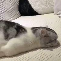 nào TQYN hết né nhau
