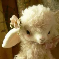 Thanh traa cute