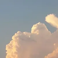 tg