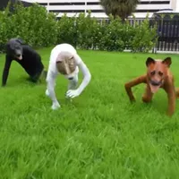 behoort nie te weet nie (Dog Tg)