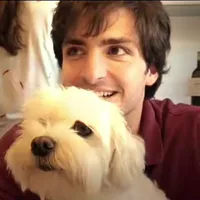 Carlos sainz (sơn)