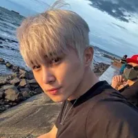 Lê Hồng Sơn
