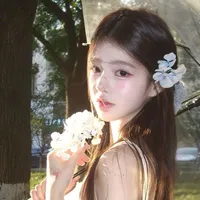 Hứa Giai Kỳ