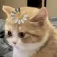t/g vô tri
