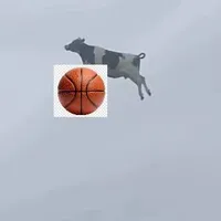 Con tg bòo