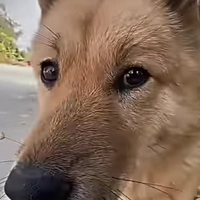 Nhìn choá gì? [ Rin ]