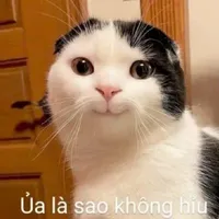 t/g:))