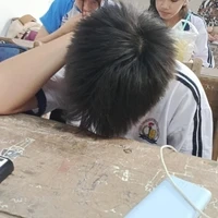 P.Hào