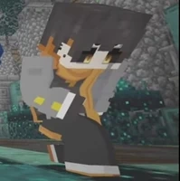 hiha black hole