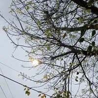 cả lớp