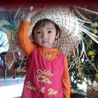 Gobi k15
