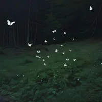 ???