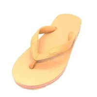 dép lào từ bi ( chiếc dép của t/g )