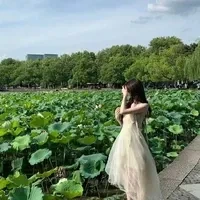 thảo my