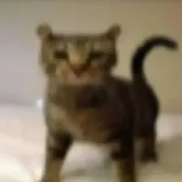 ？？？