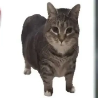 Độc tôn