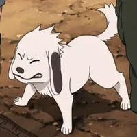 Akamaru